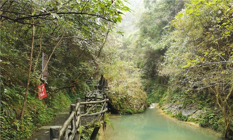 虫虫助手下载