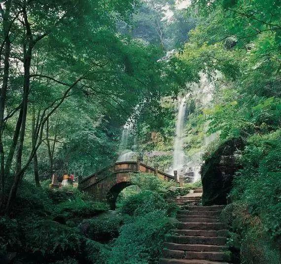 逃离昏暗下的小村